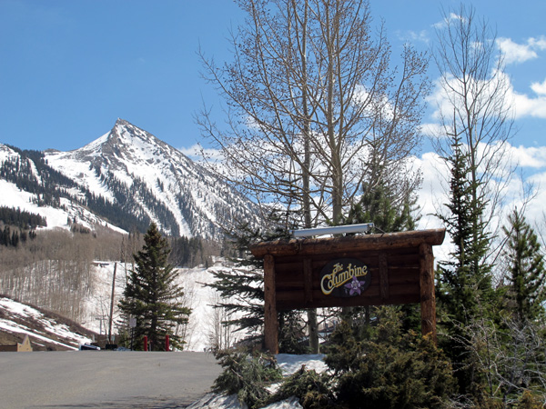 coumbine condos crested butte for sale