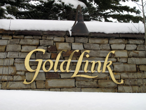 Gold Link Crested Butte real estate