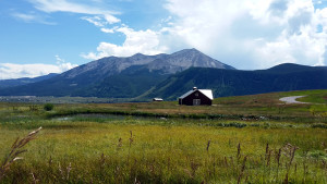 Saddle Ridge Crested Butte real estate