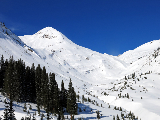 2021 Crested Butte real estate predictions