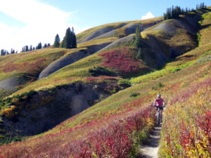 Crested Butte mountain biking neighborhoods