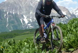 ian billick rocky mountain biological laboratory gothic colorado