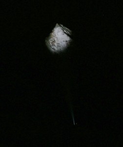 Crested Butte Bat Light