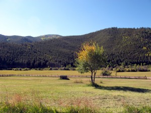 Quartz Creek Valley horse property