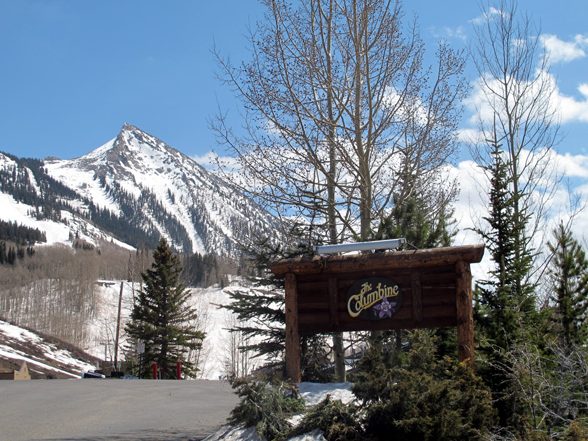 coumbine condos crested butte for sale