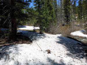 Irwin Land with Coal Creek