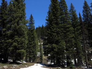 Irwin Property For Sale