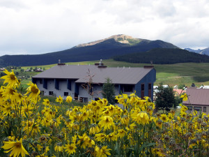 Elk Ridge 1 condos in Crested Butte