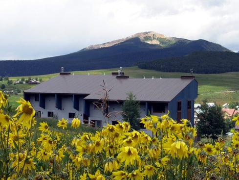 Elk Ridge 1 condos in Crested Butte