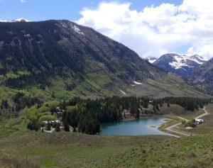 alpine meadows crested butte real estate